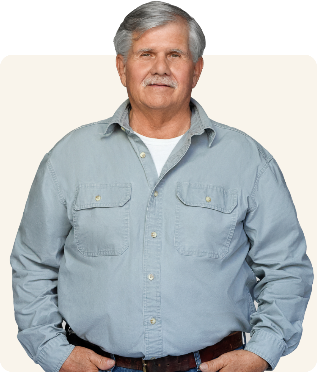 Tommy on an off white background