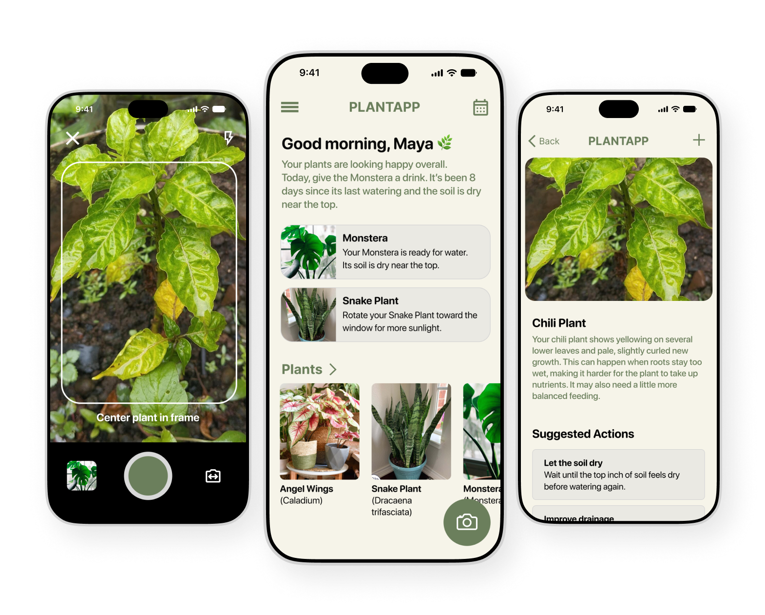 Three smartphone screens showing PlantApp interface: left screen with a camera viewfinder framing a green plant with yellow leaves and text 'Center plant in frame'; middle screen with a greeting 'Good morning, Maya' and care advice for Monstera and Snake Plant, plus thumbnails of Angel Wings, Snake Plant, and Monstera plants; right screen displaying detailed info about a Chili Plant with yellowing leaves and suggested care actions like 'Let the soil dry.'
