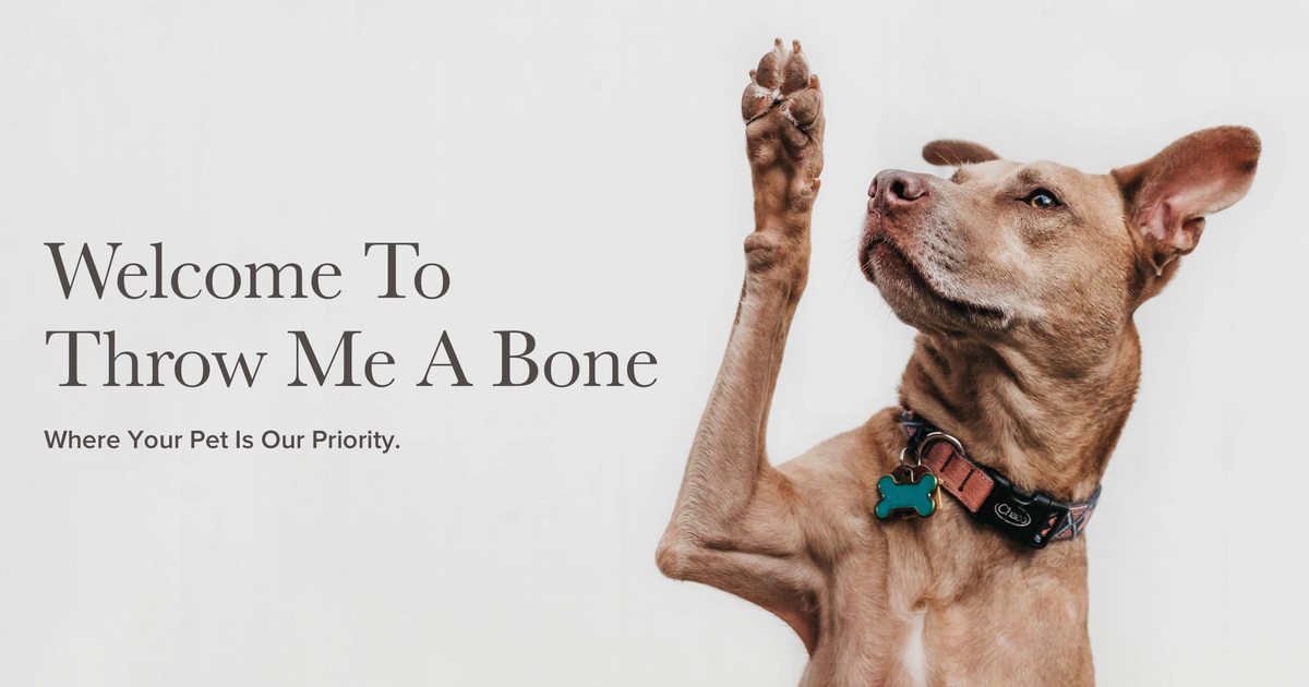 Throw Me A Bone Inc. / Dog Daycare, Grooming and Boarding - Pet Services in New York