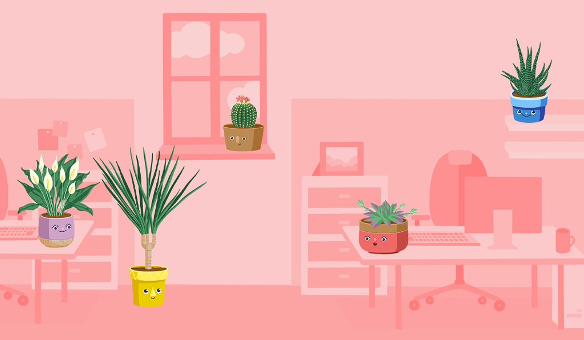 7 Benefits Of Having Office Plants In The Workplace | Hoppier