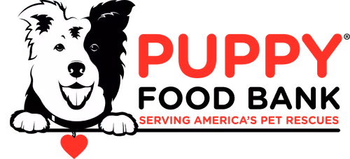 Candid Logo