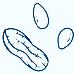 icon of peanuts