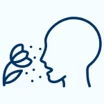 Silhouette of a head facing a flower with pollen particles representing environmental allergies.