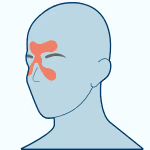 Icon of a person with sinuses highlighted in red