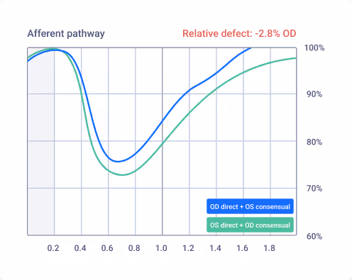 An image from a sample report shoring the afferent pathway and relative defect
