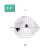 An example image from a sample Virtual Field report