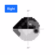 An example image from a sample Virtual Field report