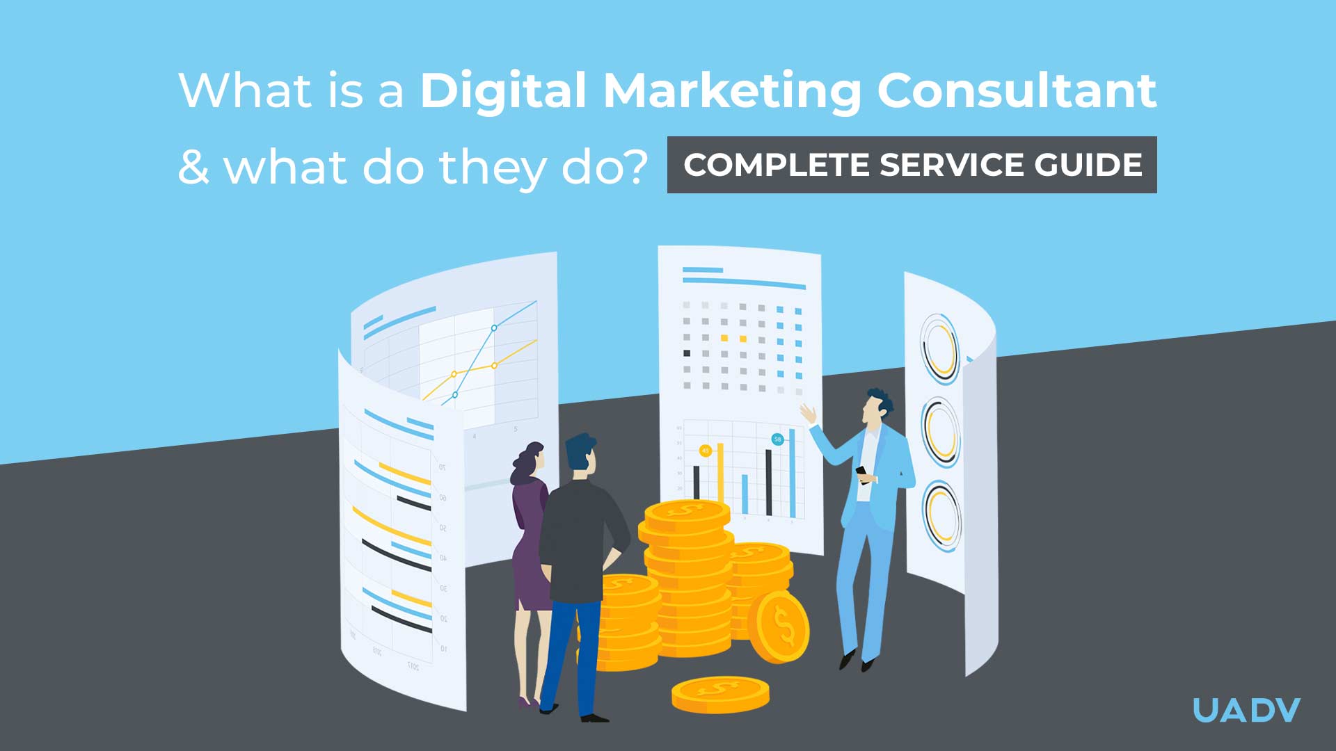 digital marketing consultant