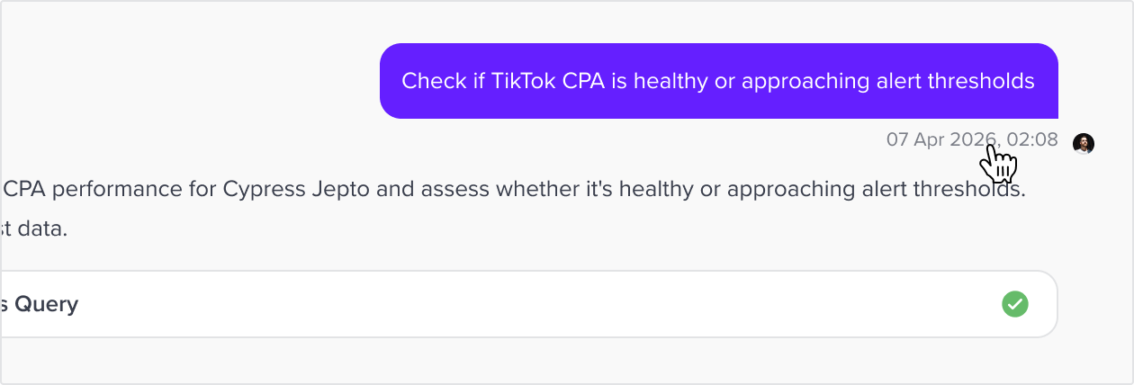 Data Chat: Prompt Timestamps