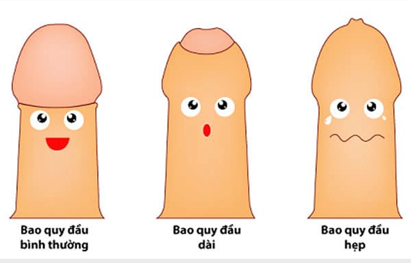 Kết quả hình ảnh cho Nam giá»i bao nhiêu tuá»i thì lá»t bao quy Äầu là tá»t nhất