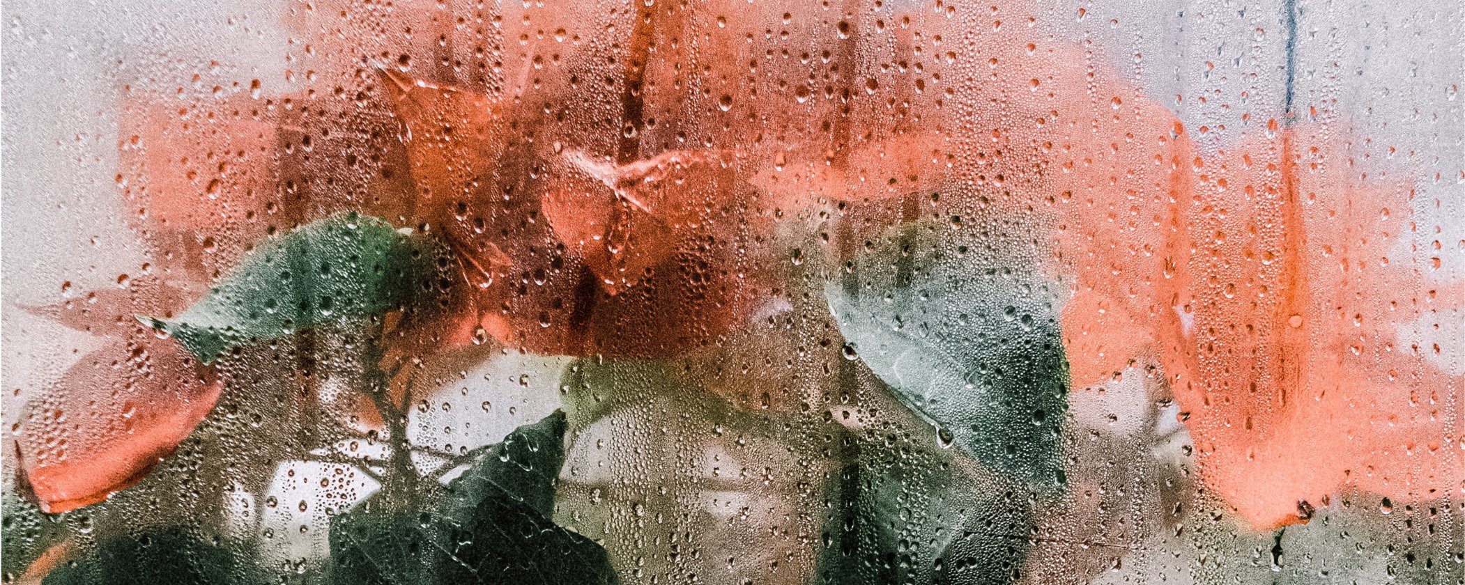 8 Questions to Get Clarity About Your Business