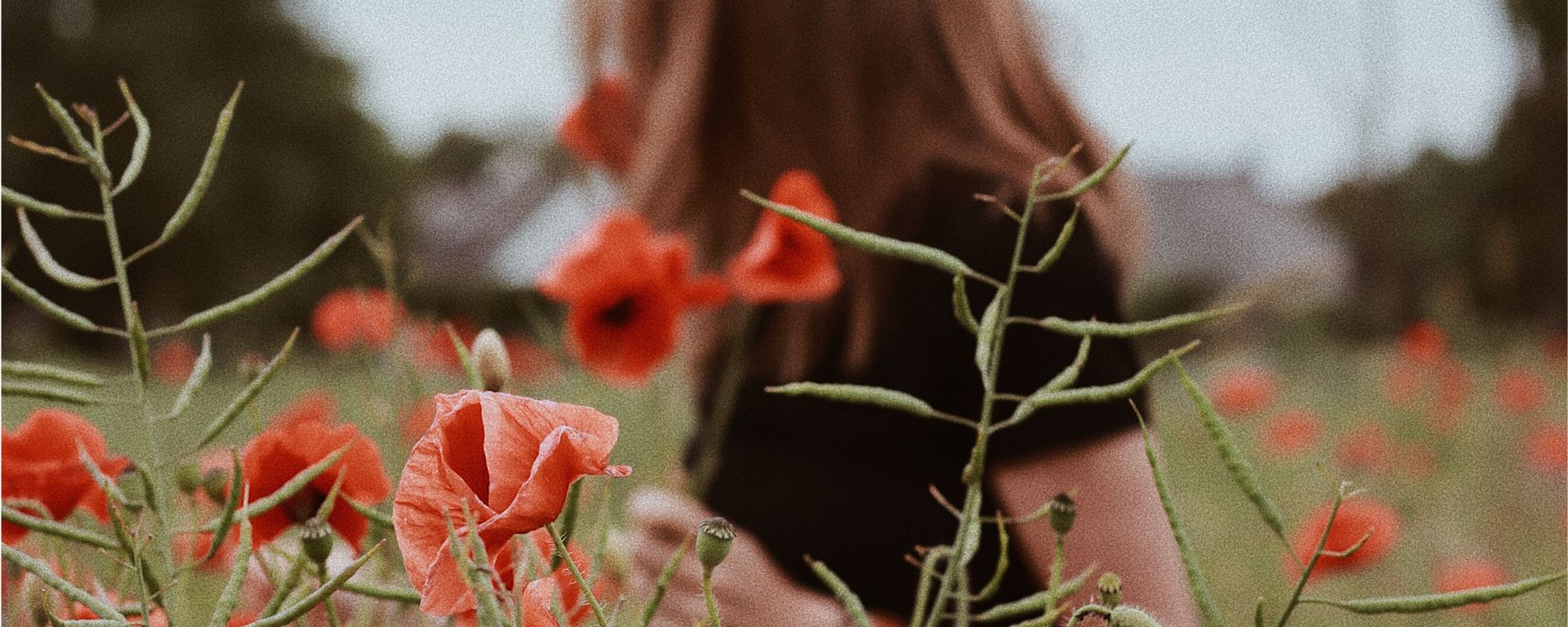 Making Peace With Social Media: How To Find Serenity In A Single Platform