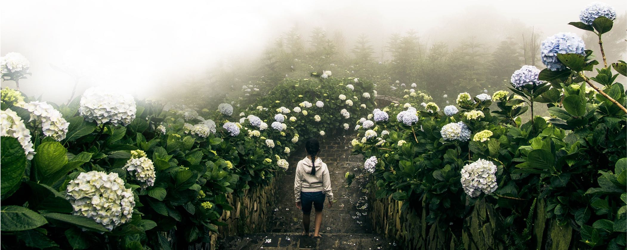 How to Create Compelling Social Media Content