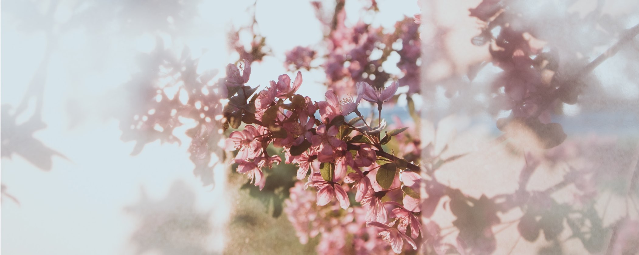 How to Create Audience Clarity