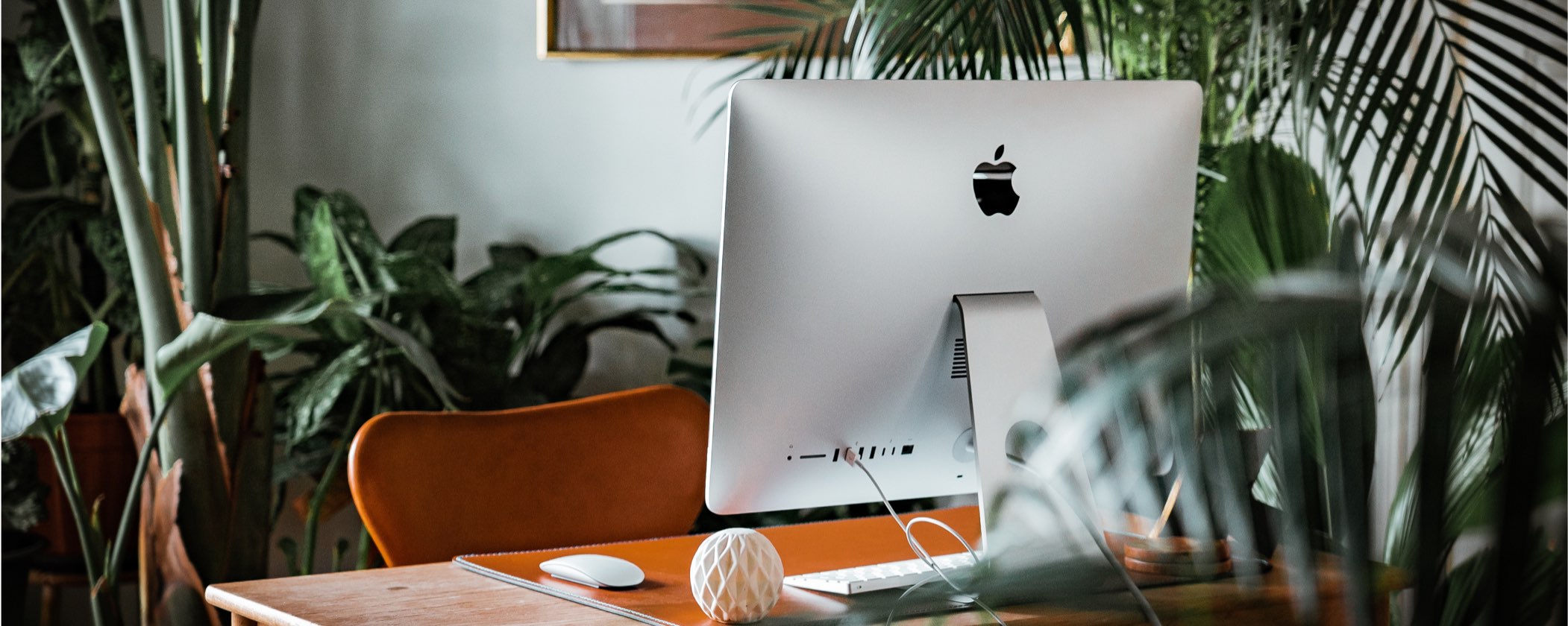 Why You Still Need a Powerful Business Website