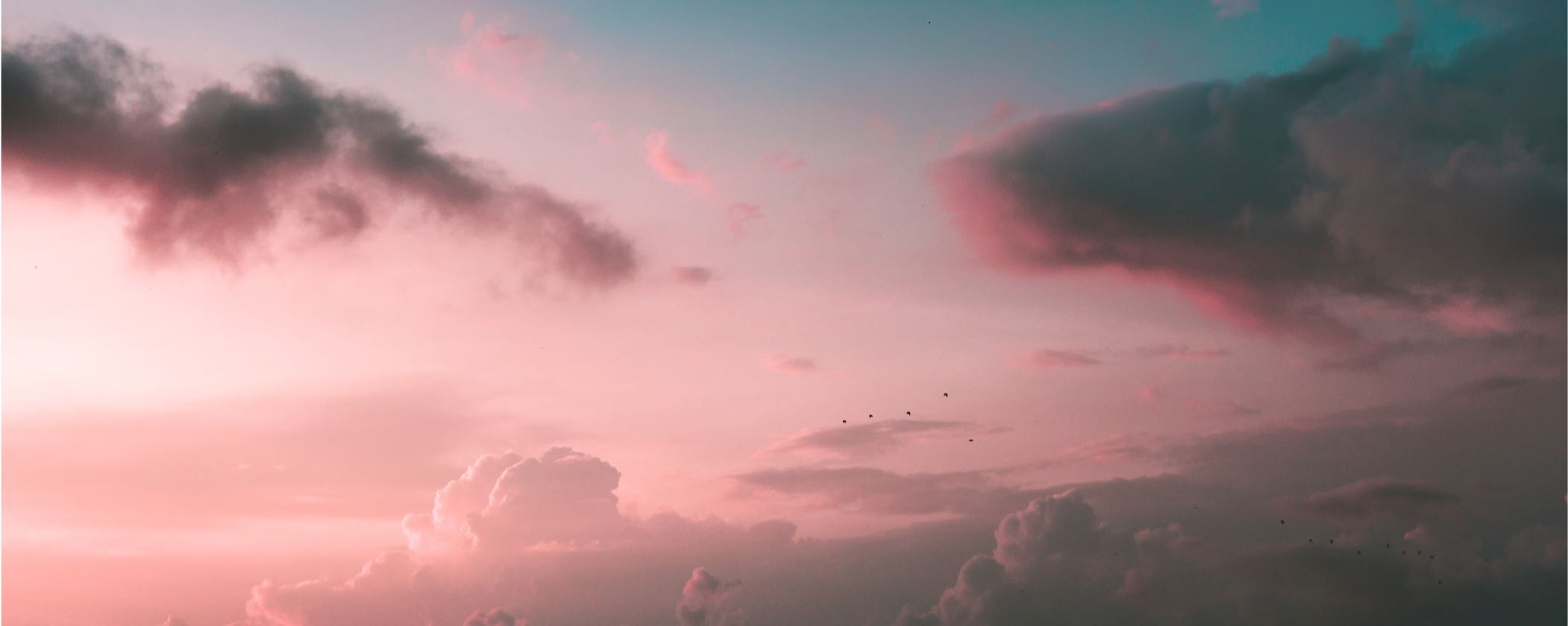 Tools to Reach Your Business Goals in 2019