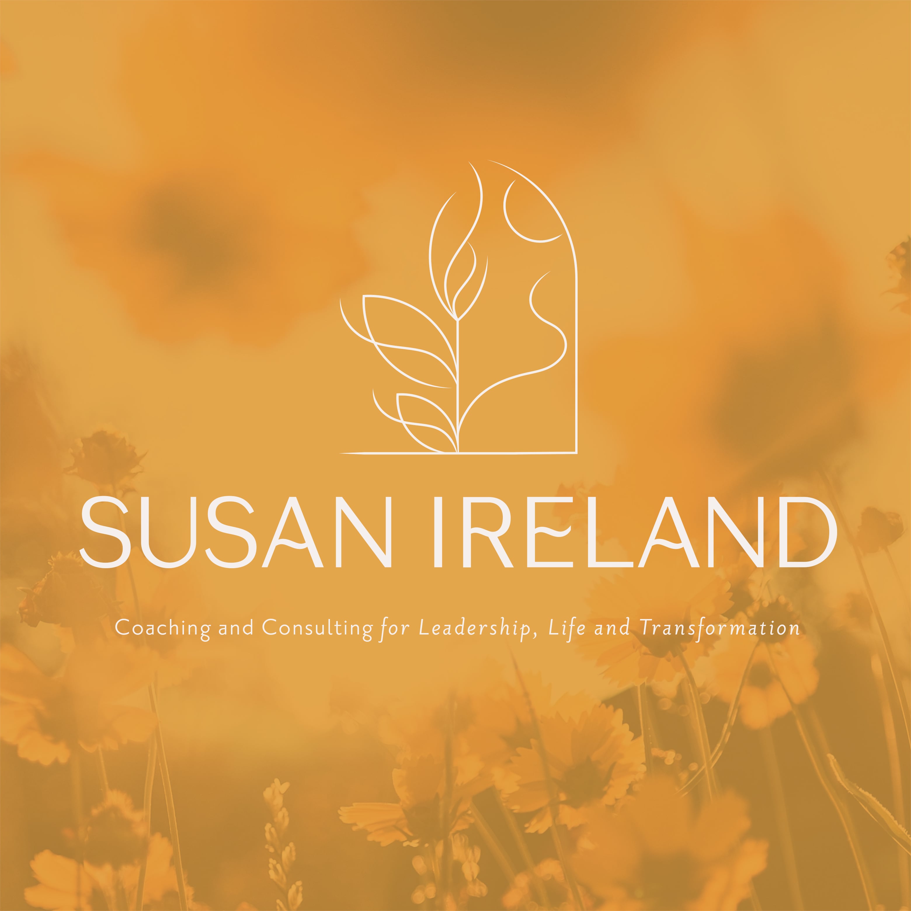 Susan Ireland Leadership Coaching