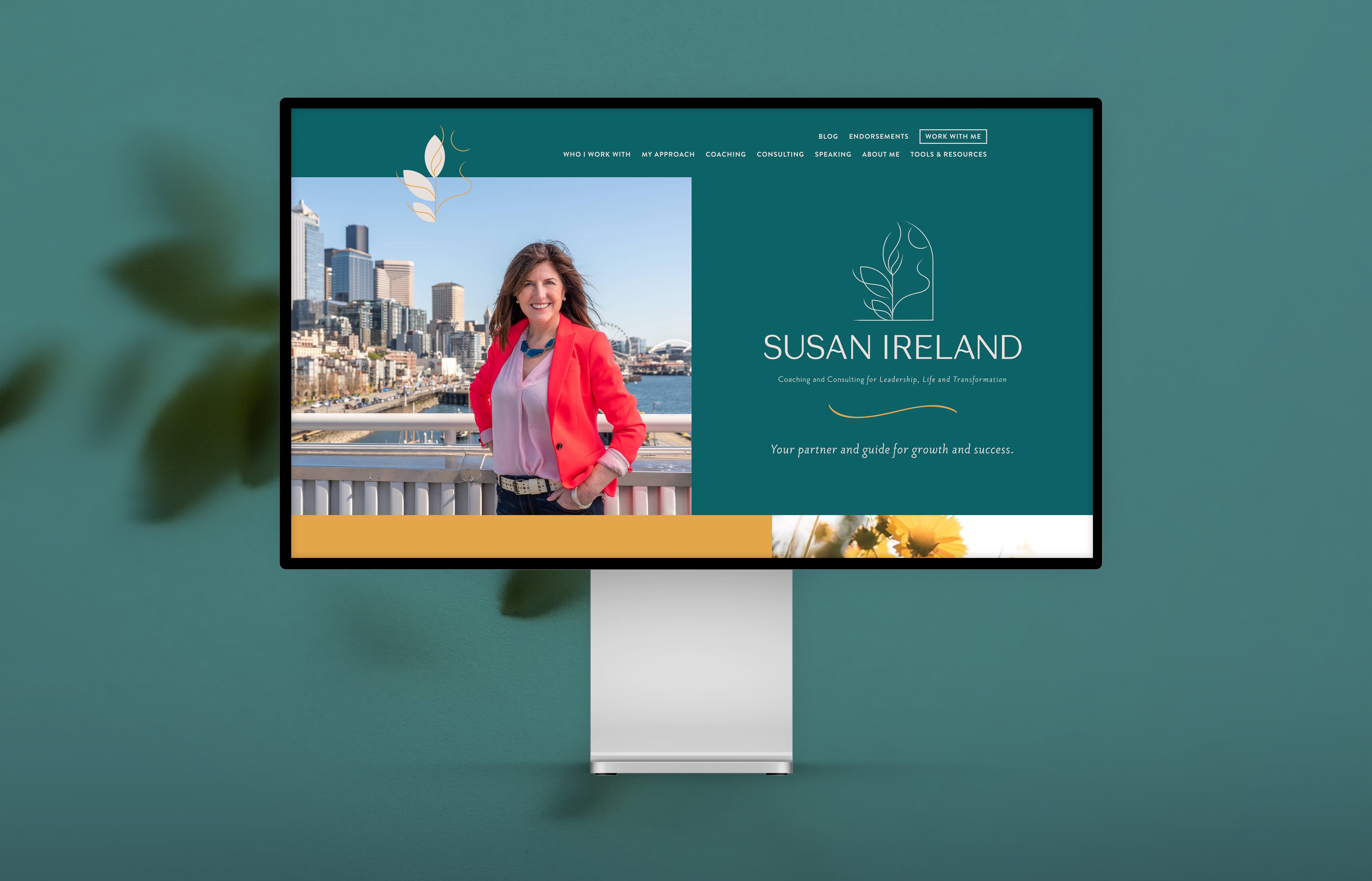 Susan Ireland Leadership Coaching
