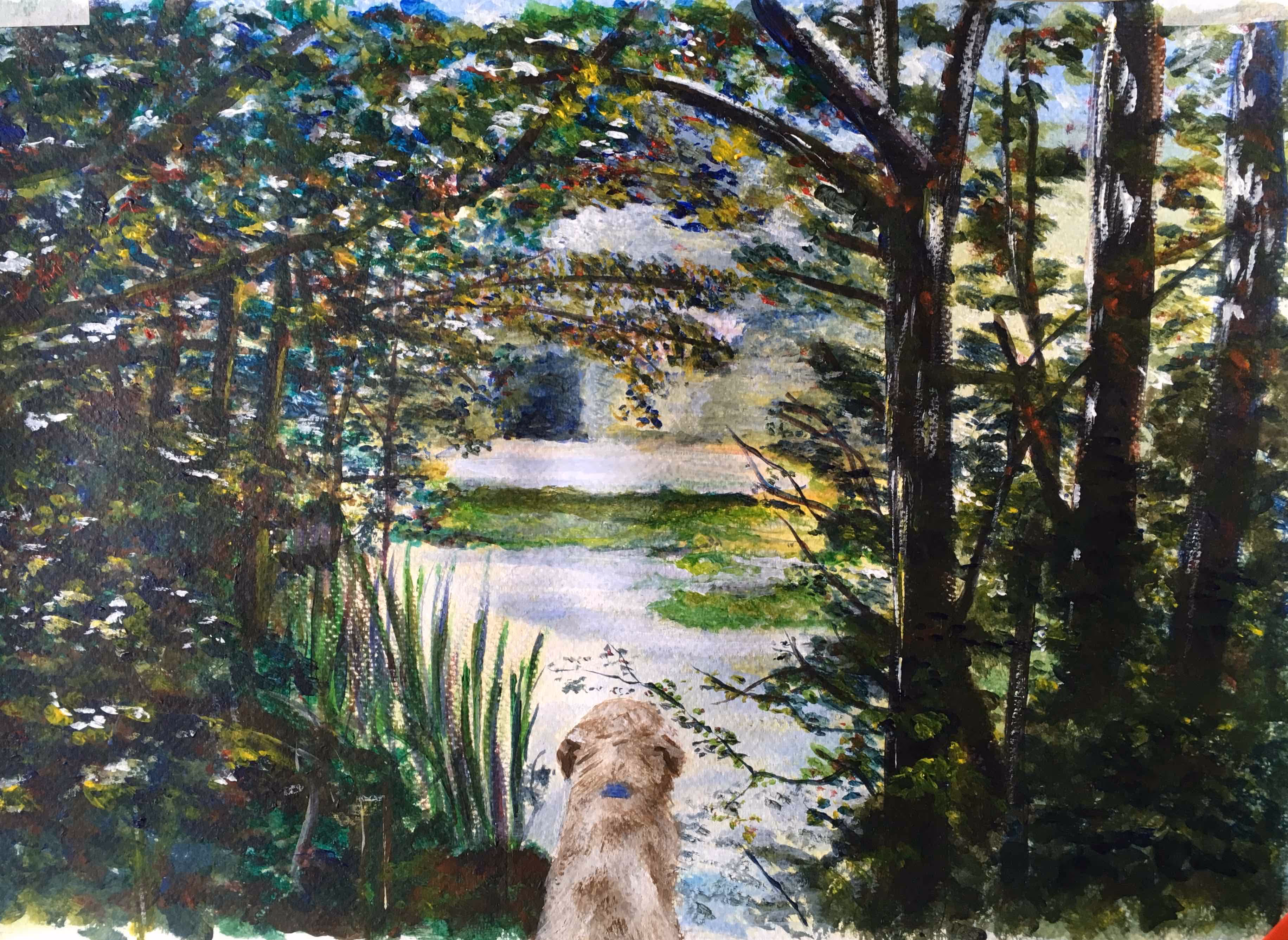 Marshall, my Golden Retriever, sitting perfectly content with life, looking over and beyond the placid water at Gobion Woods.