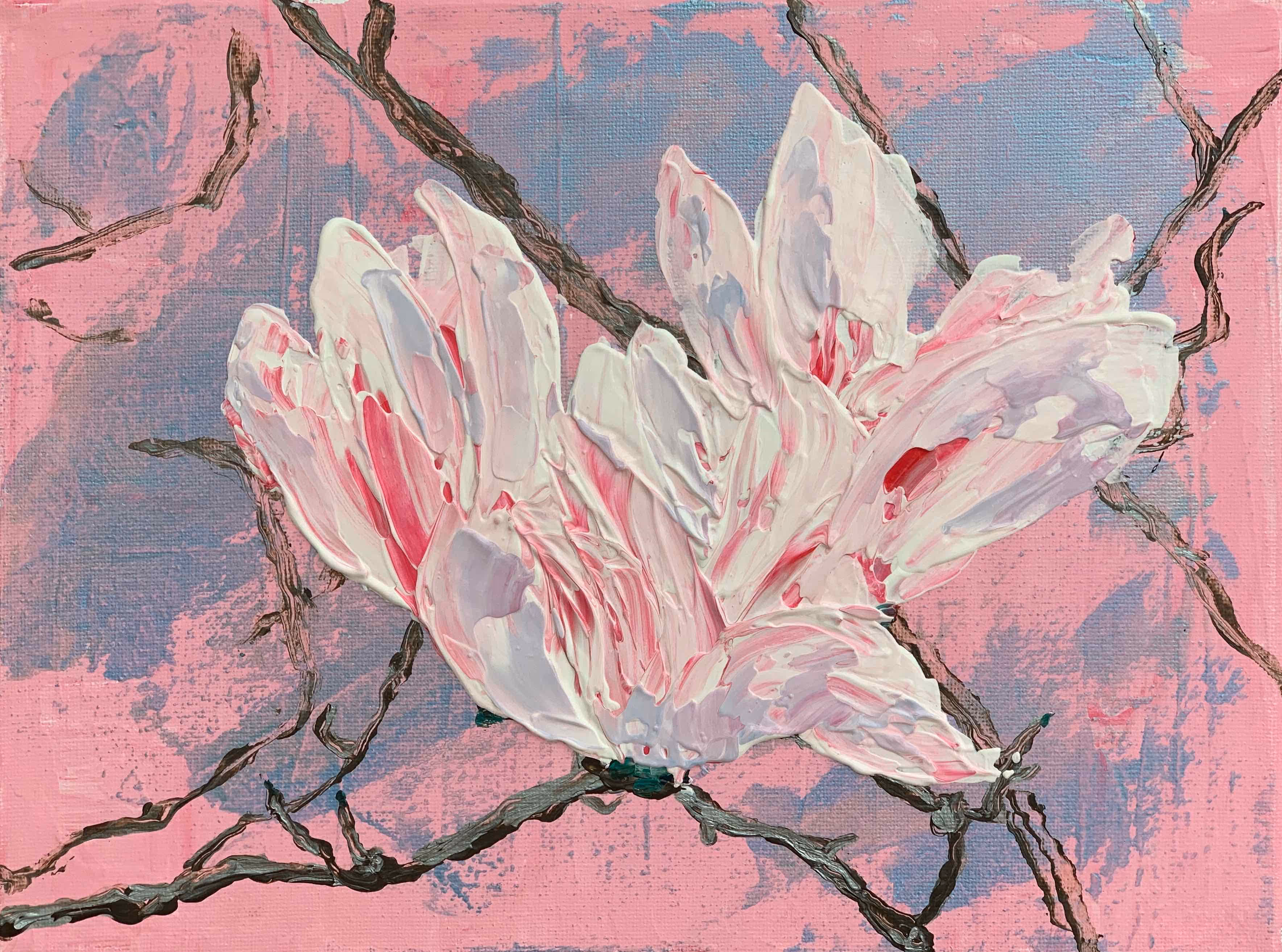 Magnolia blooms with their radiant pinks spilling out and colouring everything around them. "