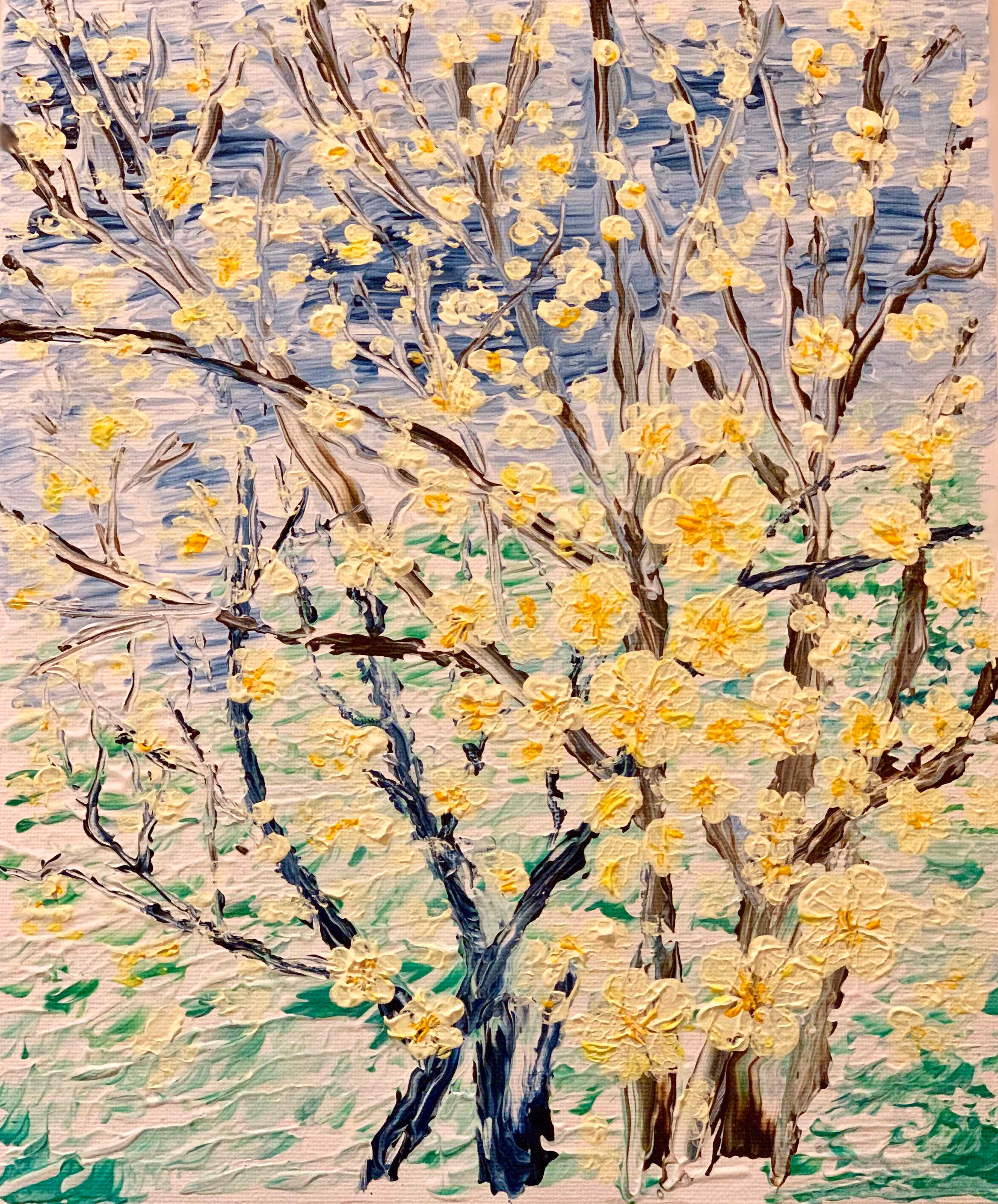Brightening up the dark brown winter twigs, spring has sprung