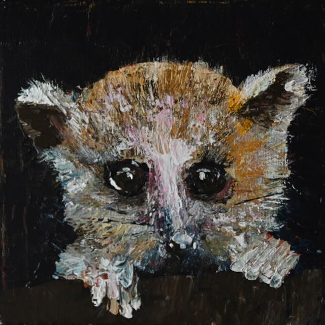 Baby lemur 20x20cms, Acrylic on canvas, palette knife