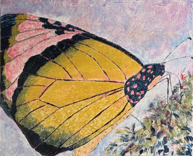 Fleeting visit by a bright gold butterfly with a beautiful pattern 
