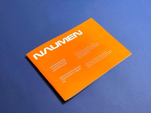 Брошюра c инфографикой о компании Naumen