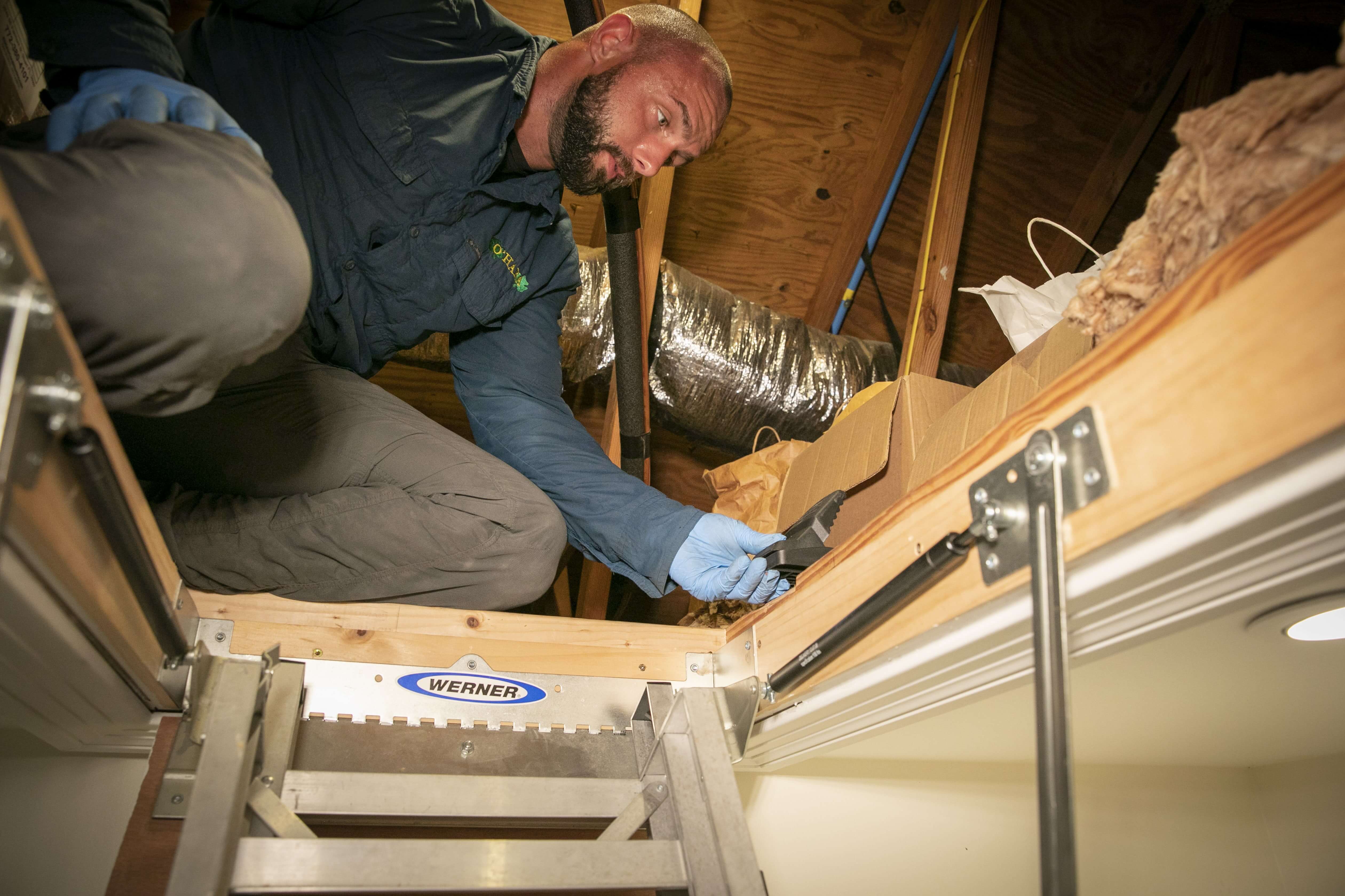 an expert in Cockroach Control in West Palm Beach