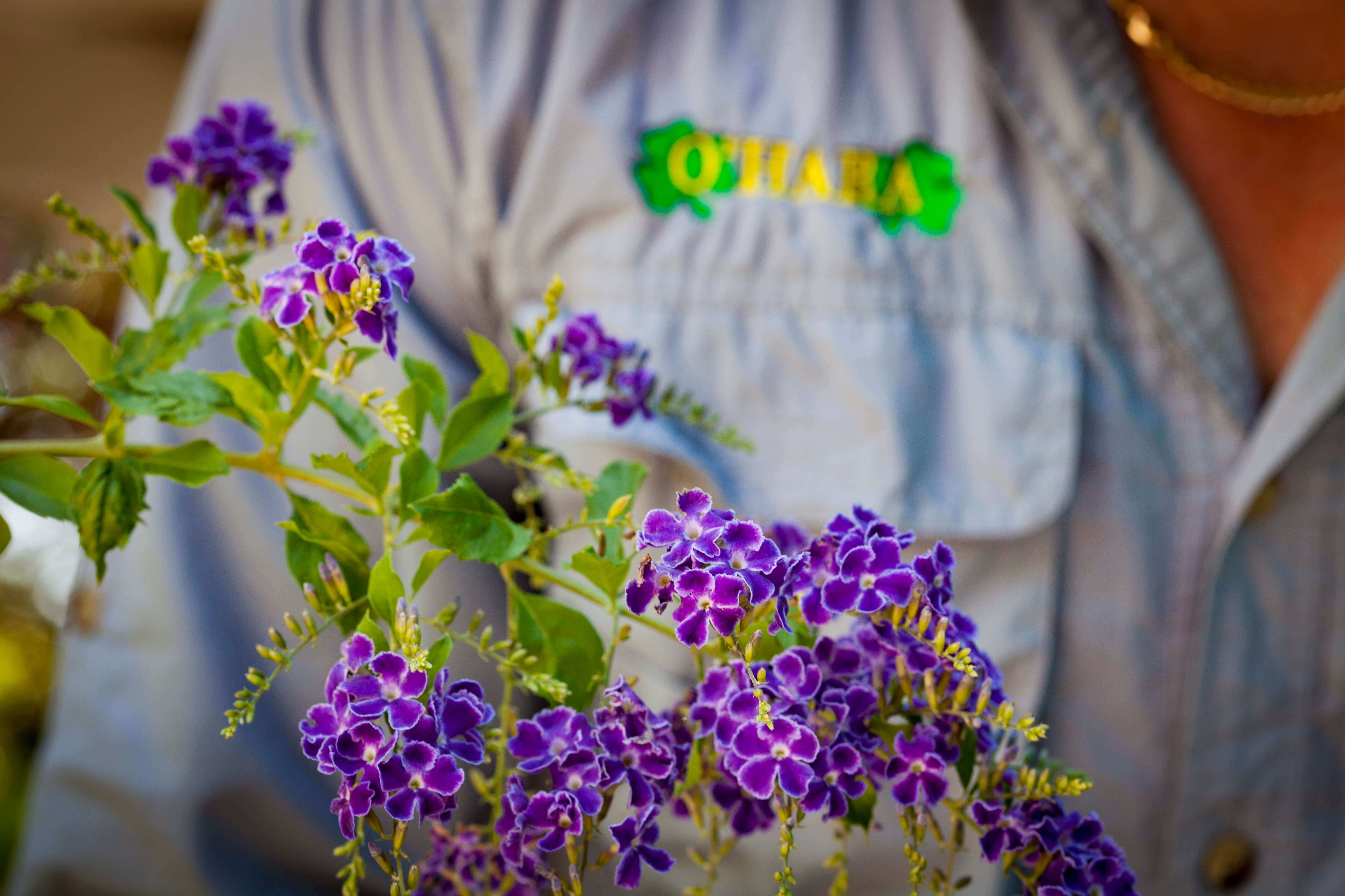 needing Professional Lawn Care