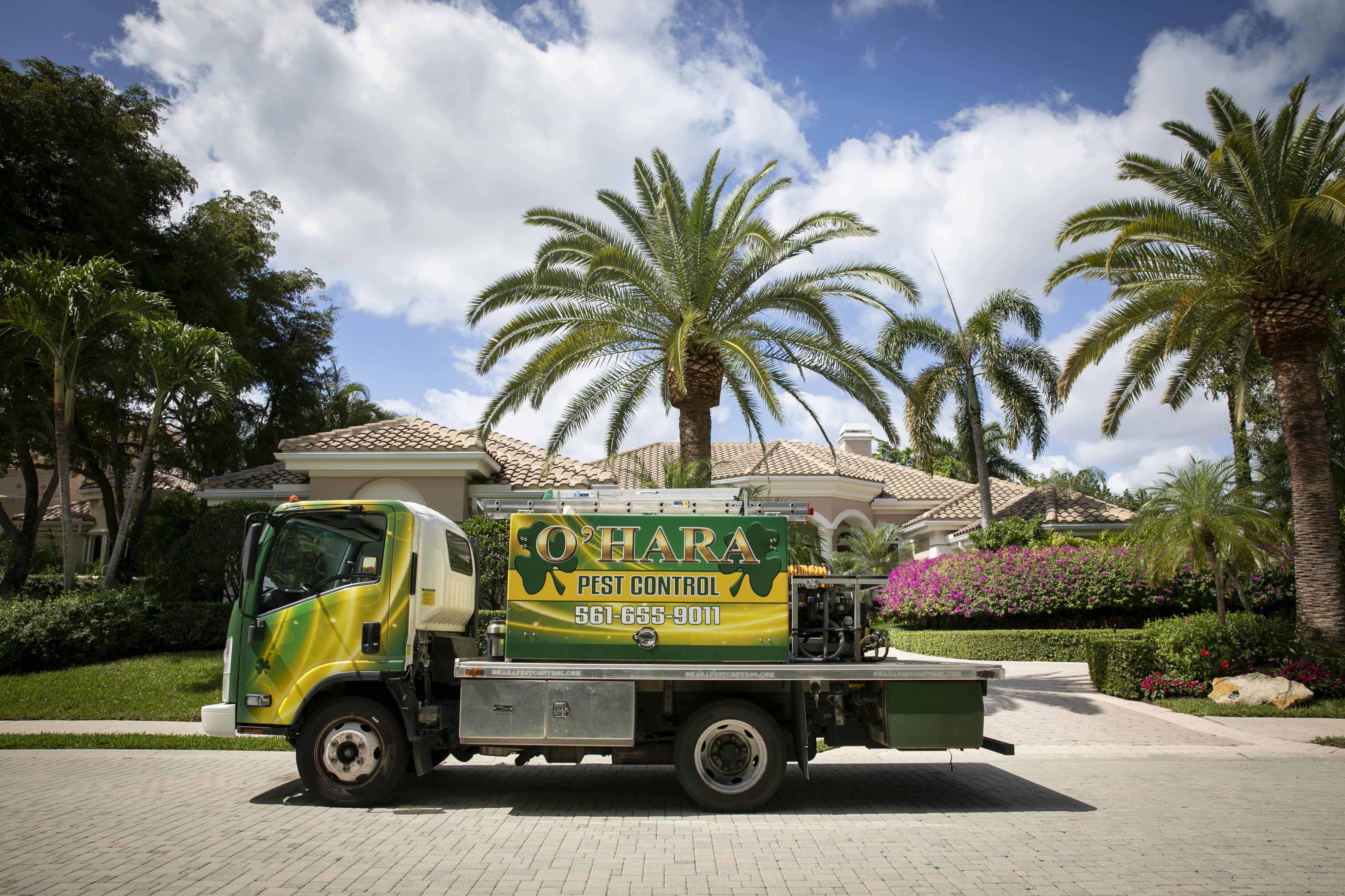 Seasonal Lawn Fertilization