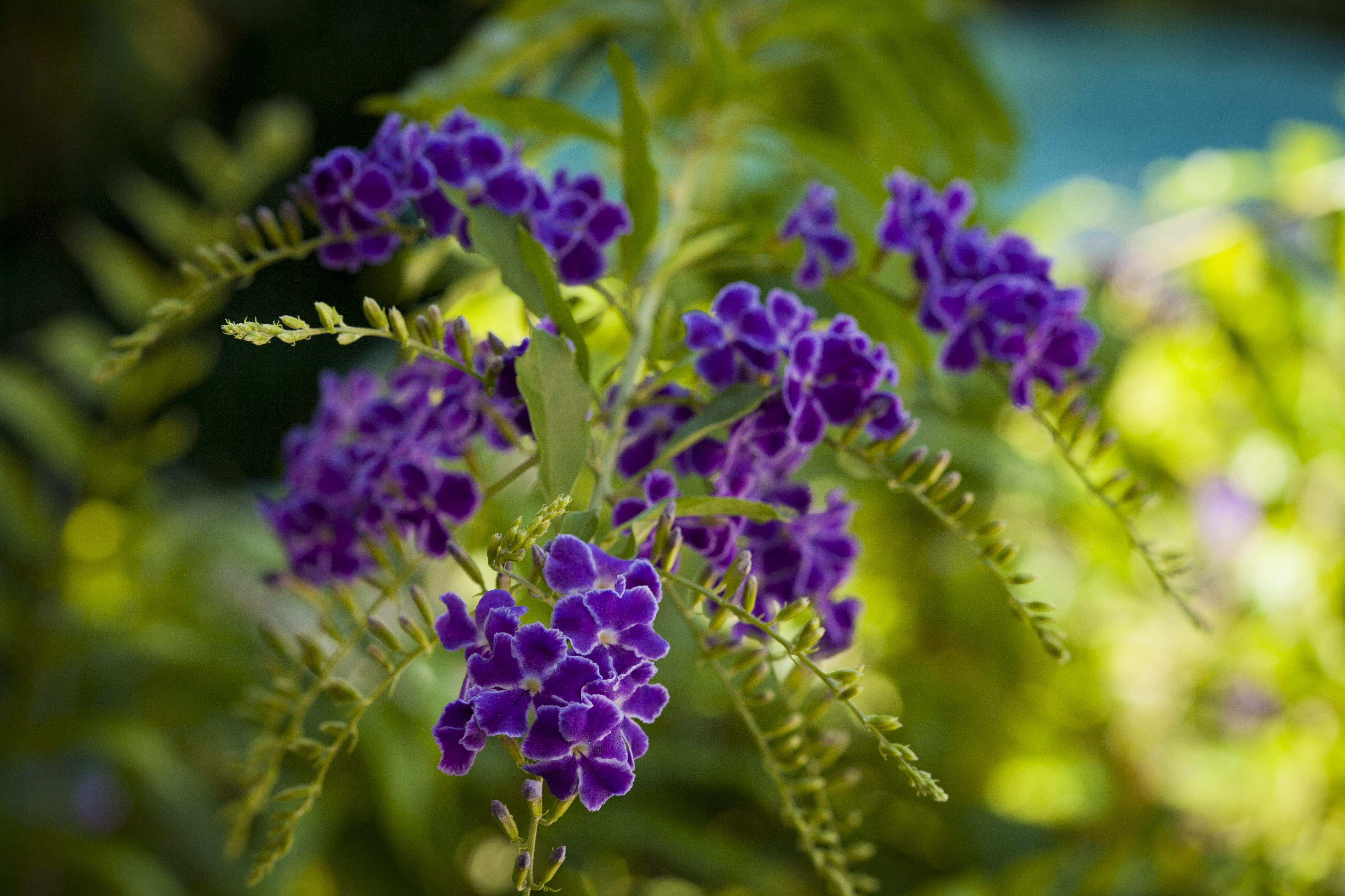 after Seasonal Lawn Fertilization