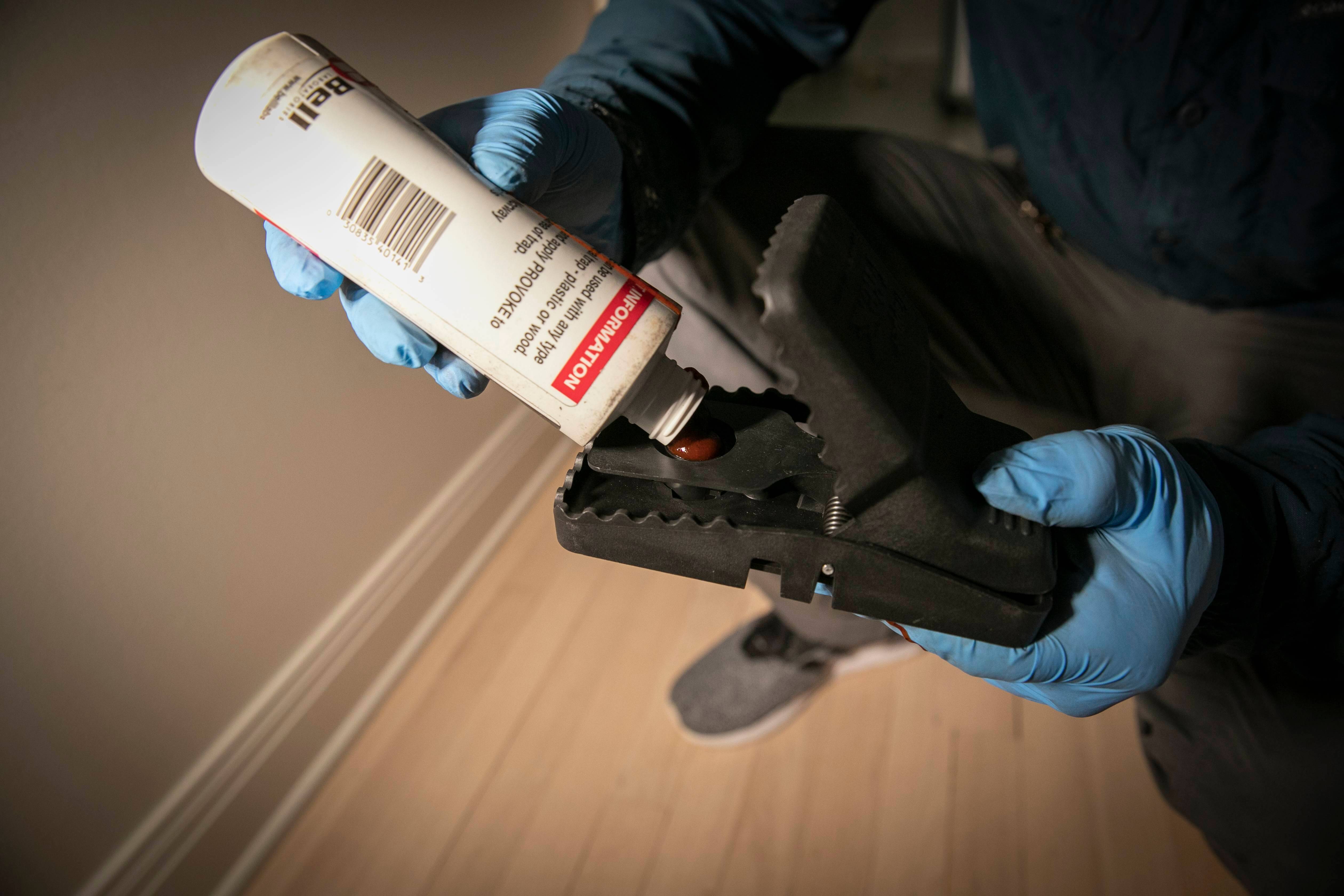 ongoing Pest Control in West Palm Beach