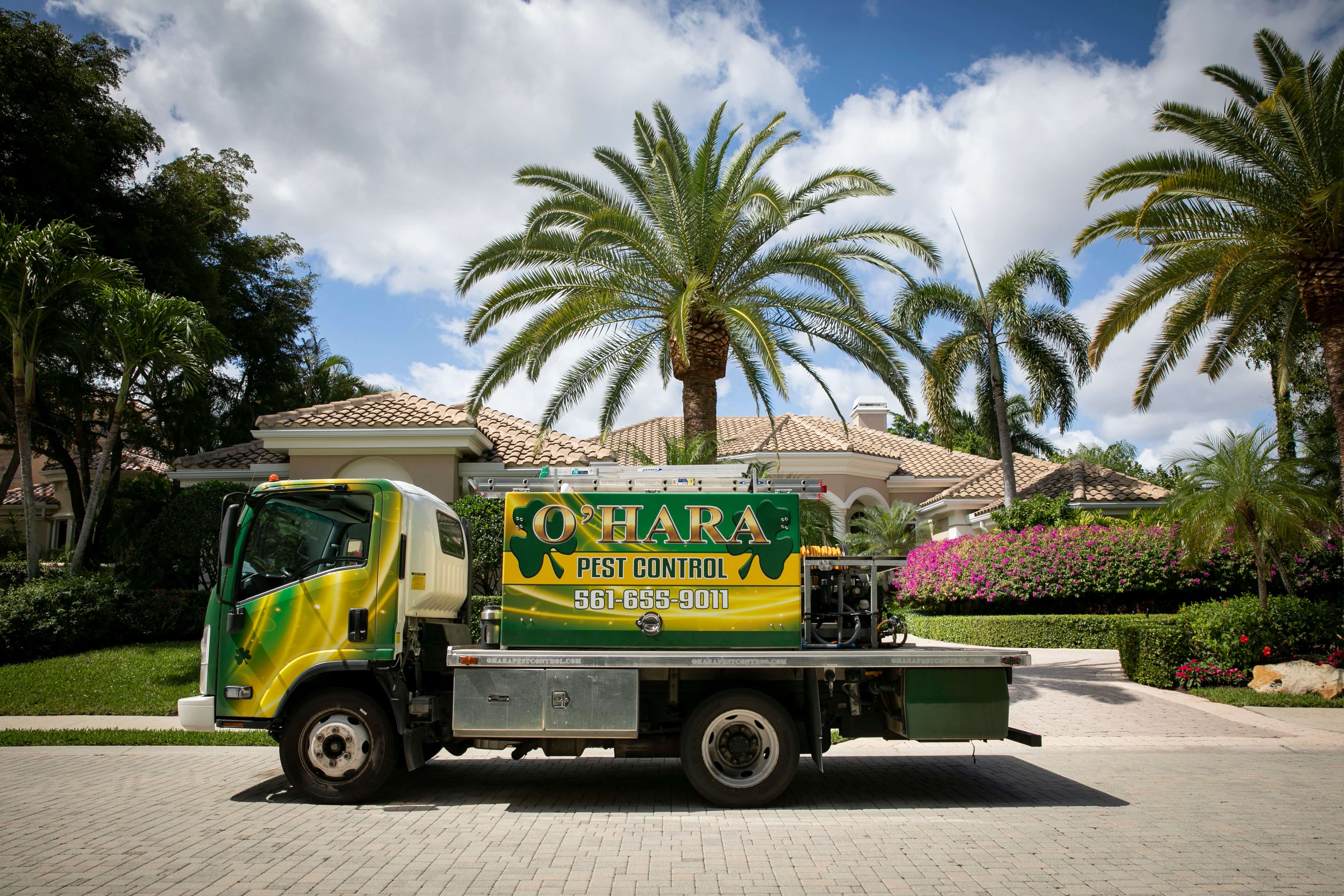 Pest Control services in West Palm Beach