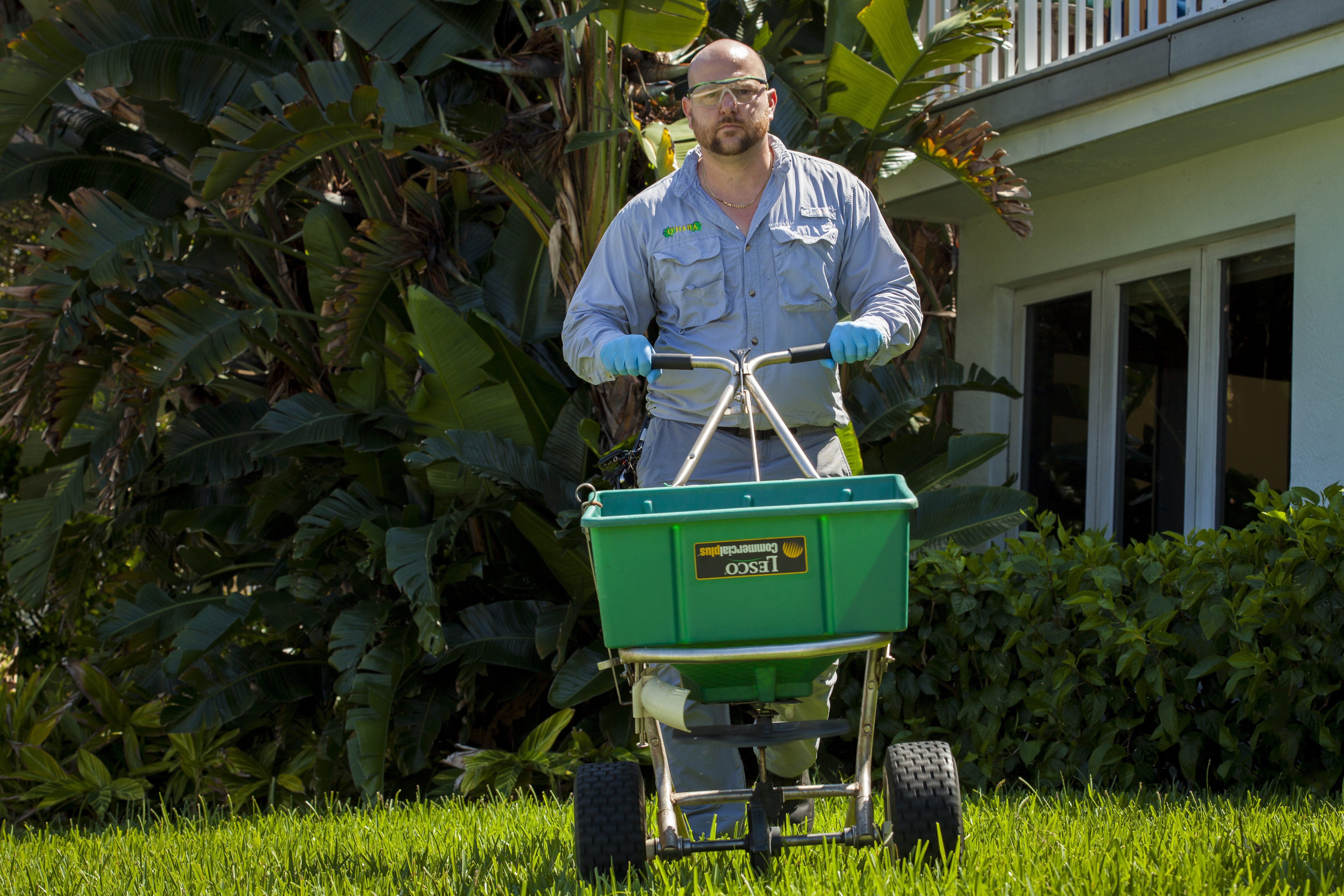 the Lawn Care in West Palm Beach