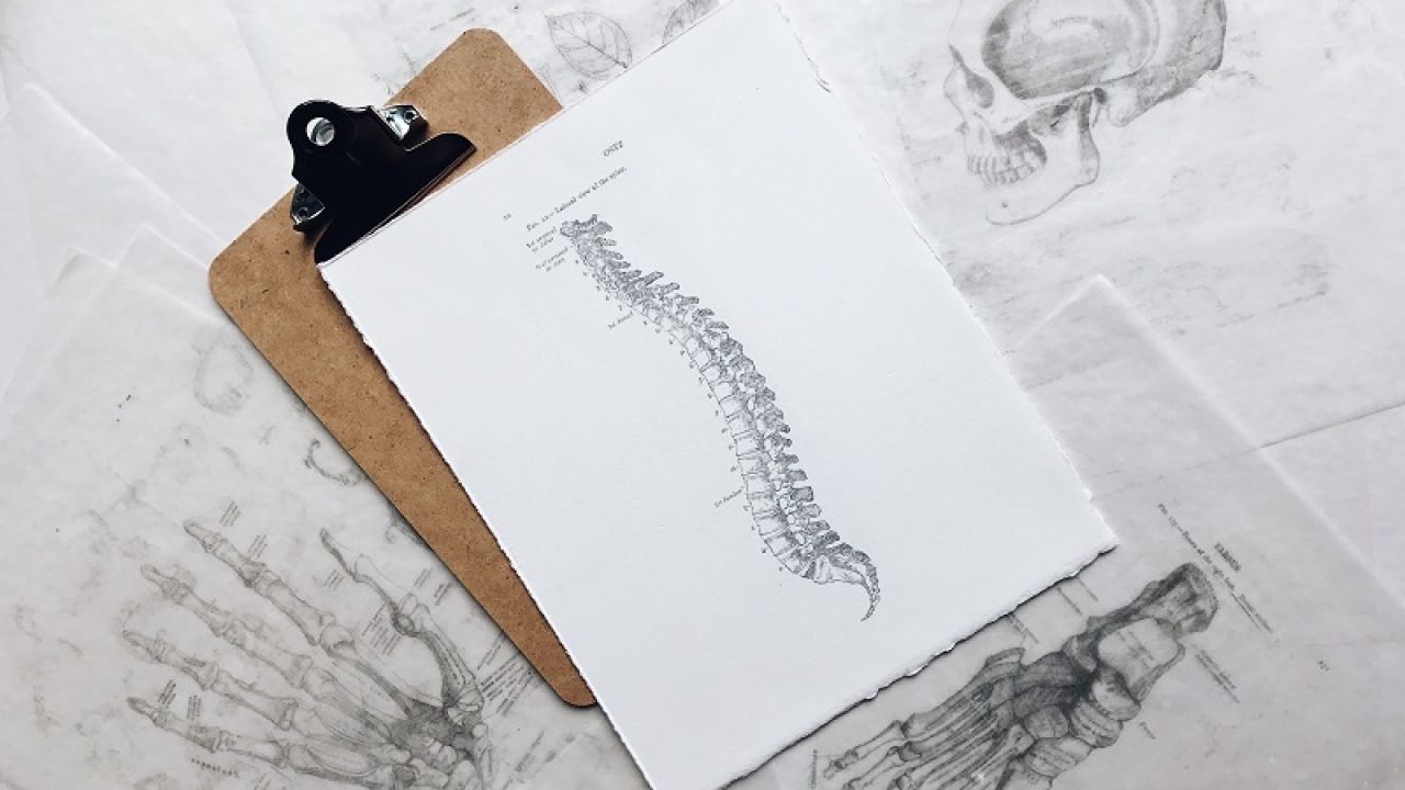 Chiropractic Services