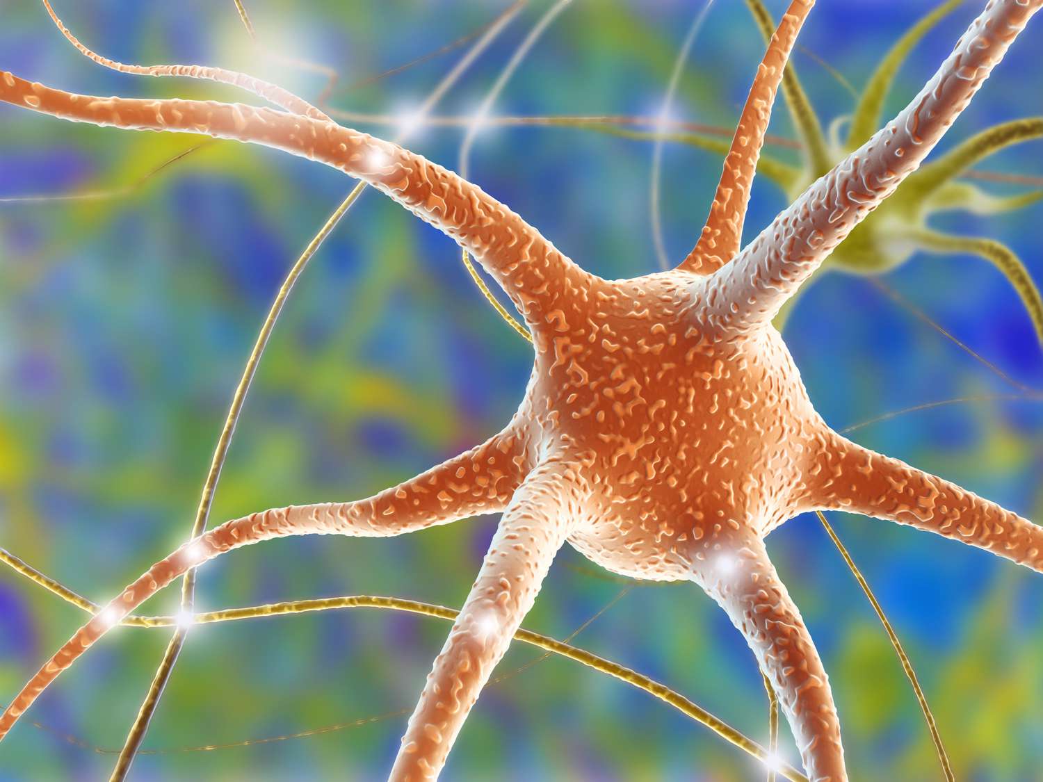 Chiropractic Services