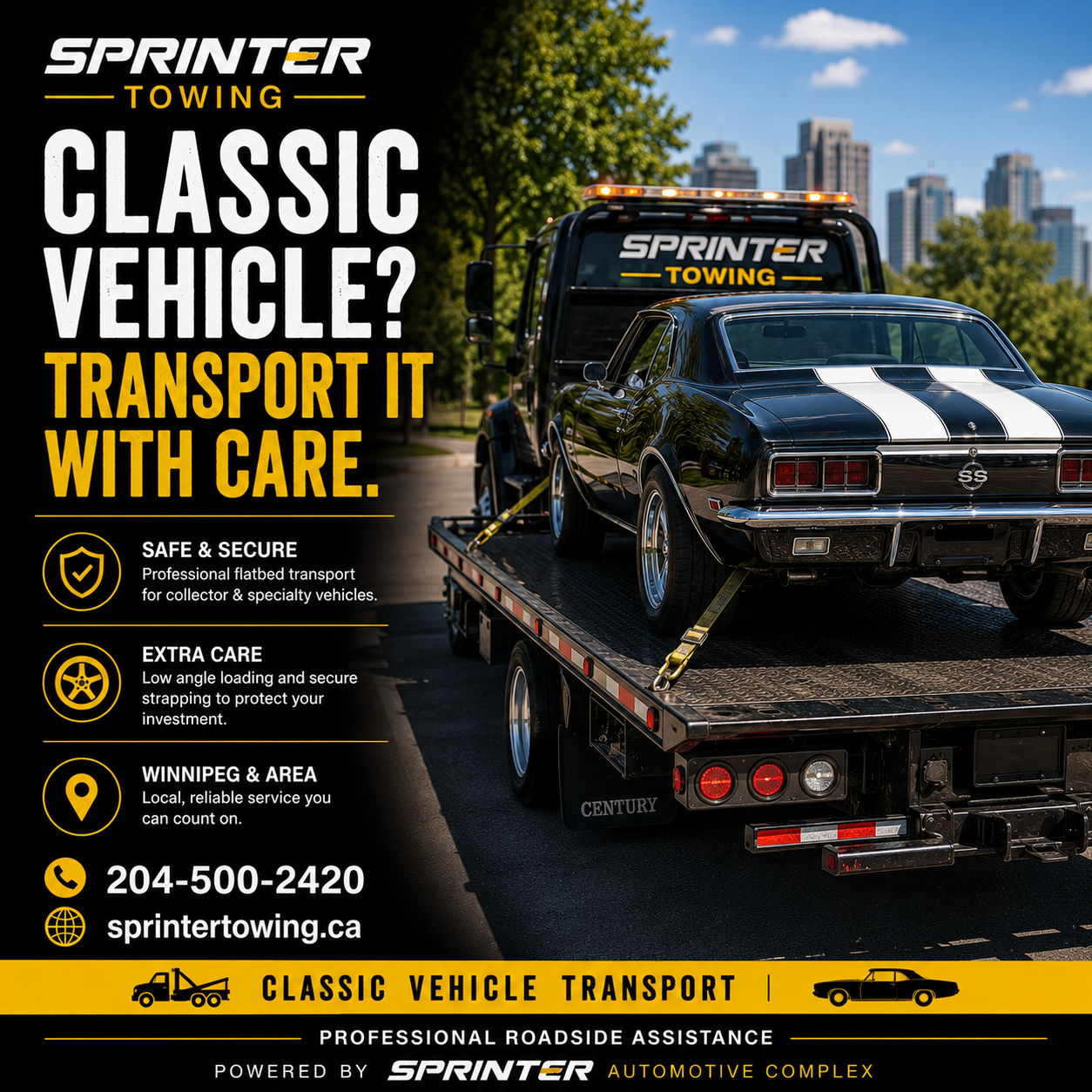 Protect Your Investment During Transport
