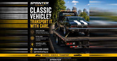 Protect Your Investment During Transport