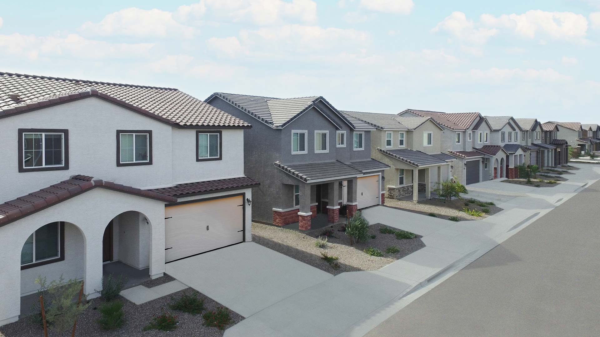 Olive Ranch