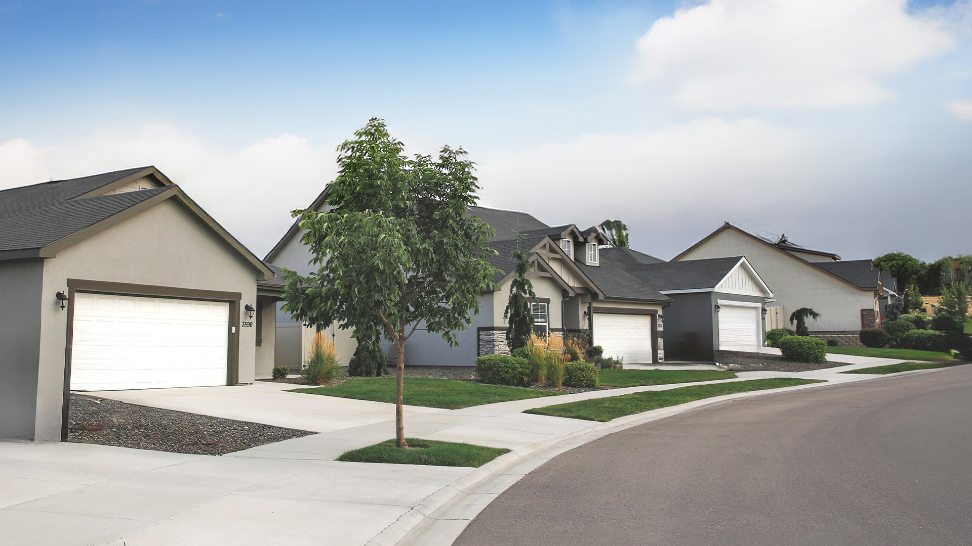 Timber Ridge