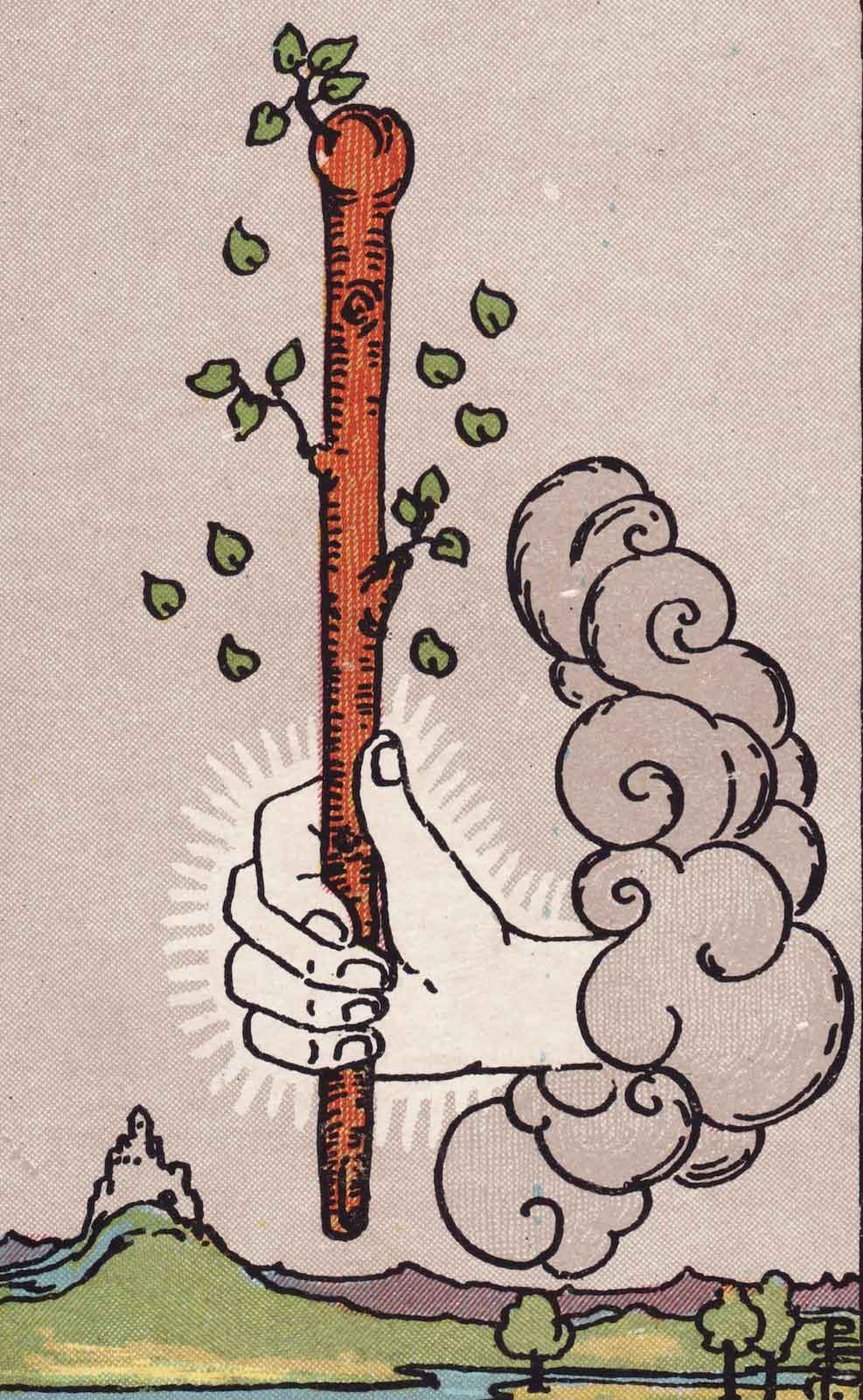 Ace of Wands Tarot Card