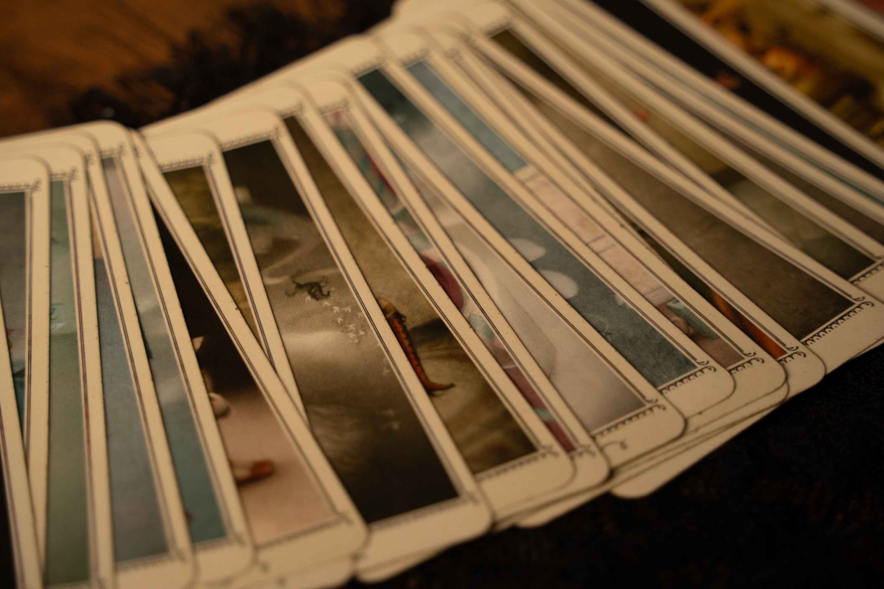 Laid Out Cards