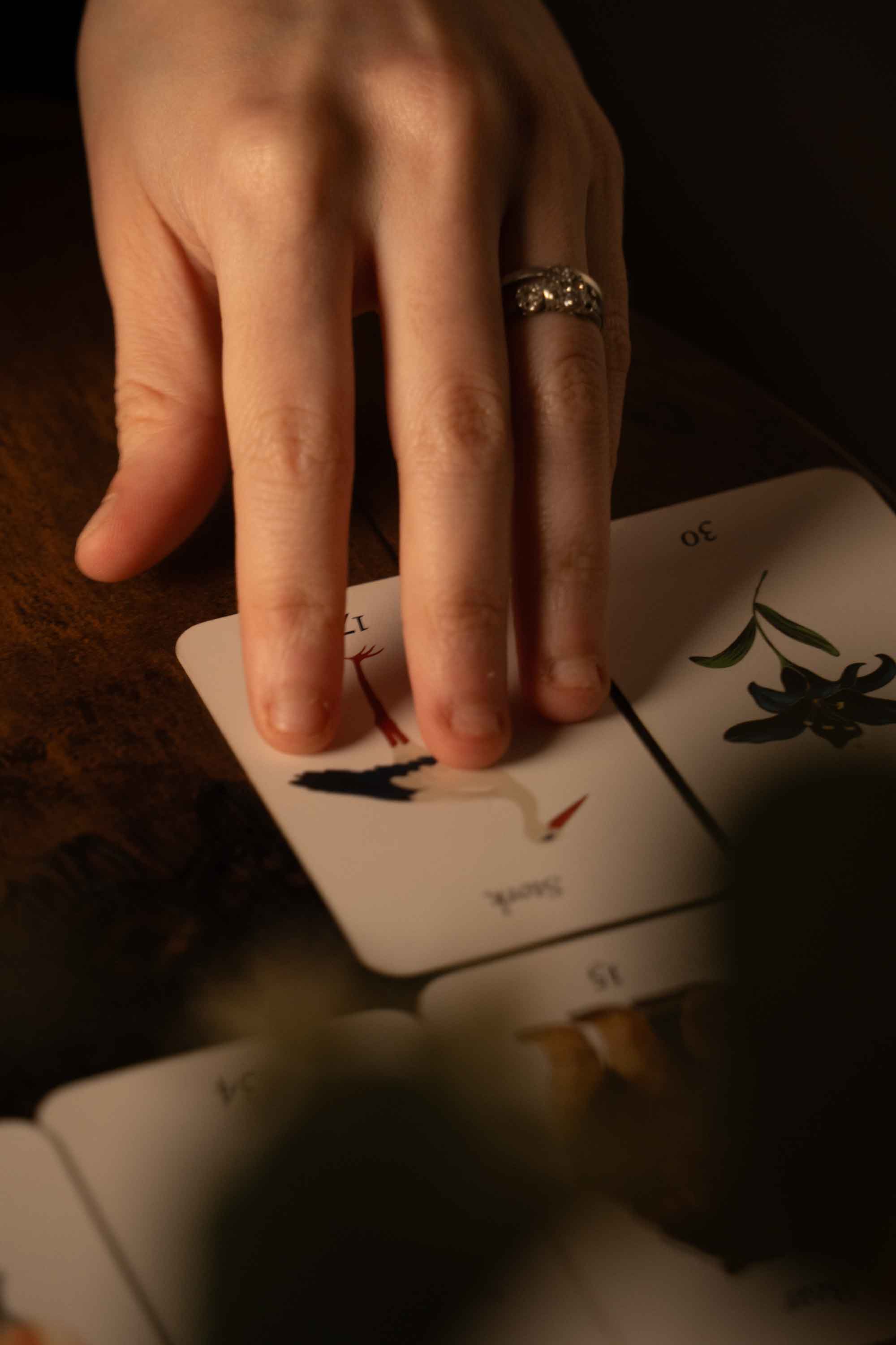 Laid Out Cards