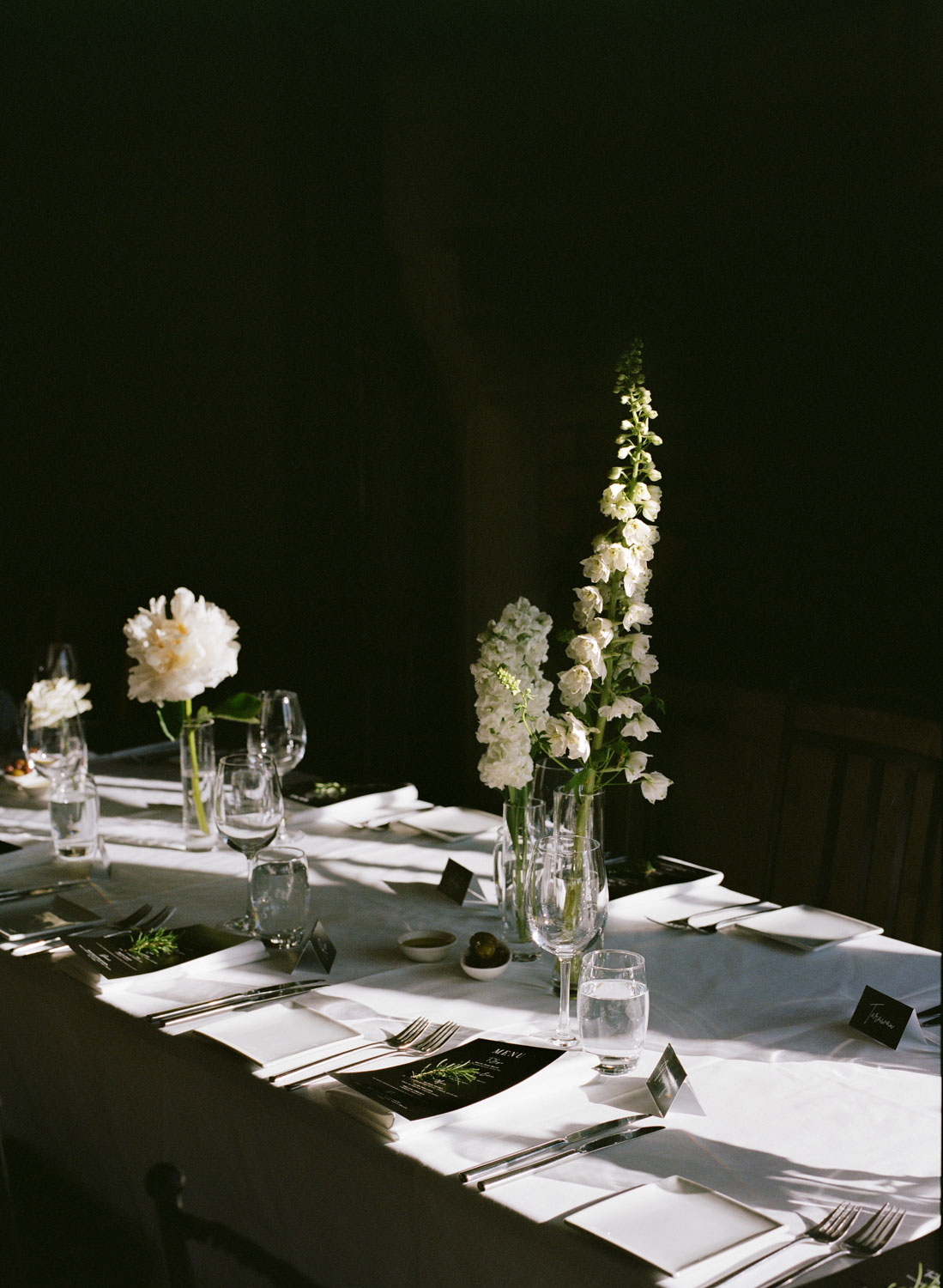 White florals shot on film at Mudbrick Vineyard Waiheke Island