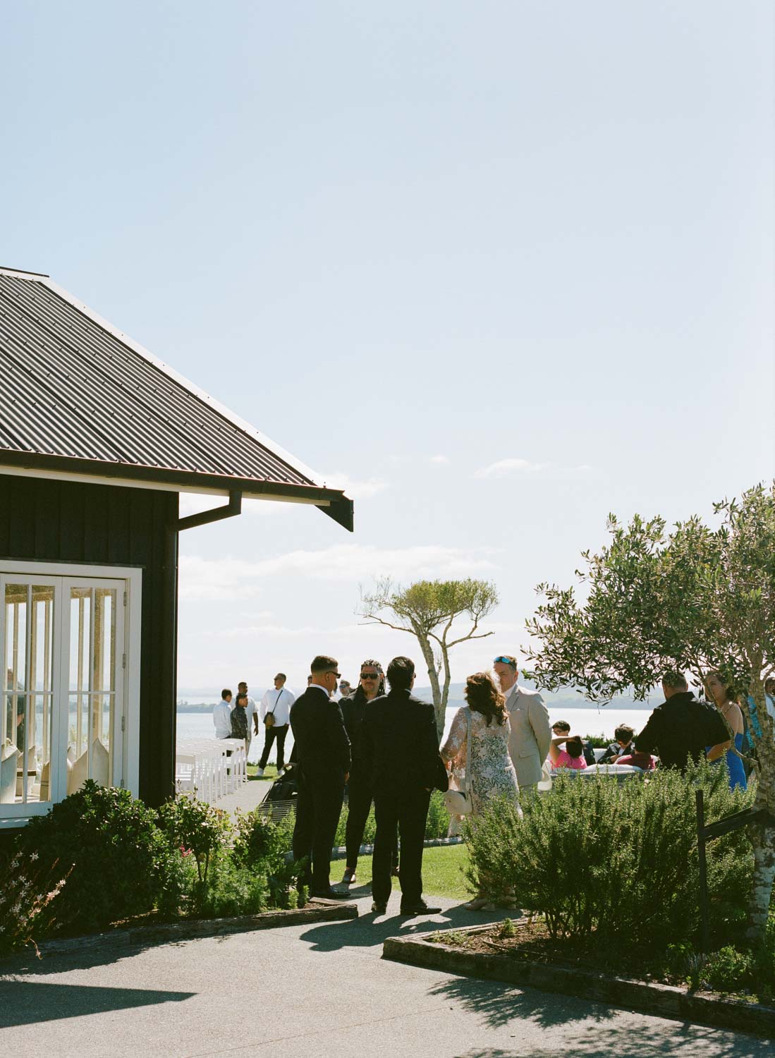 Wedding guests at Mudbrick Waiheke shot on film