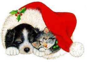 Pawzaar Holiday Craft Fair 2019