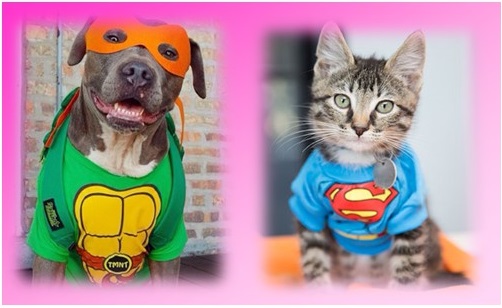 Dress for Animals Event 