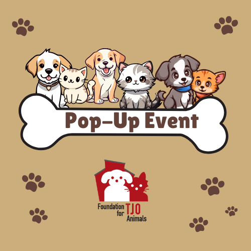 Foundation Pop-Up Event