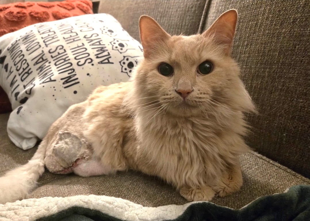 Sampson